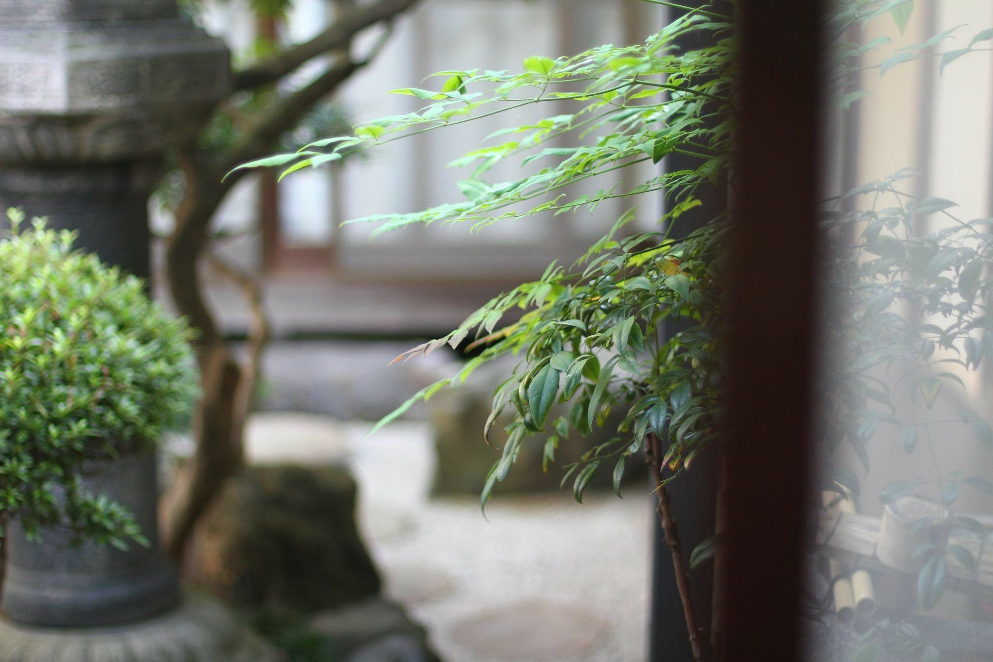 Guesthouse KYOTO COMPASS Extérieur photo